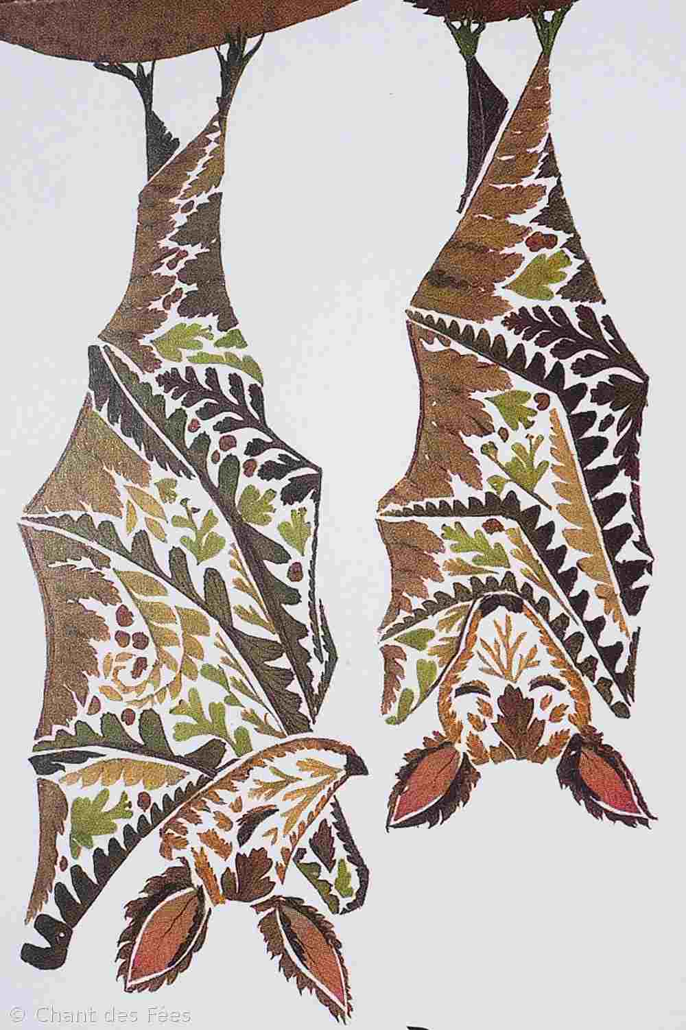 Chauvesouris