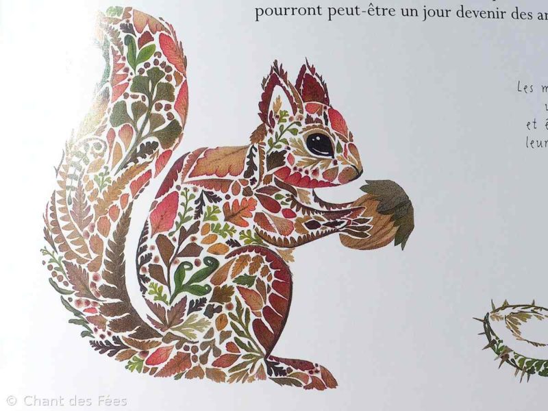 merveilles de la nature