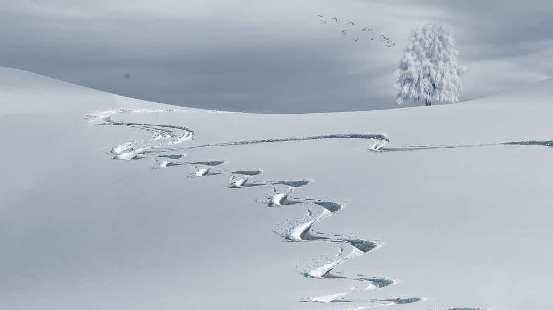 Pistes