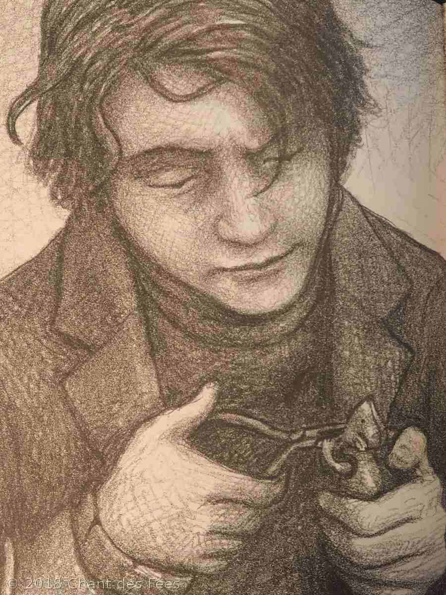 romans graphiques de Brian Selznick