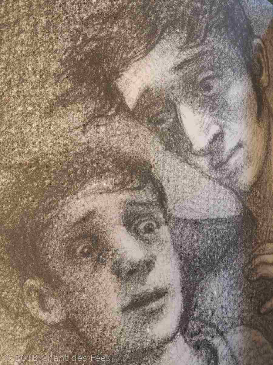 romans graphiques de Brian Selznick
