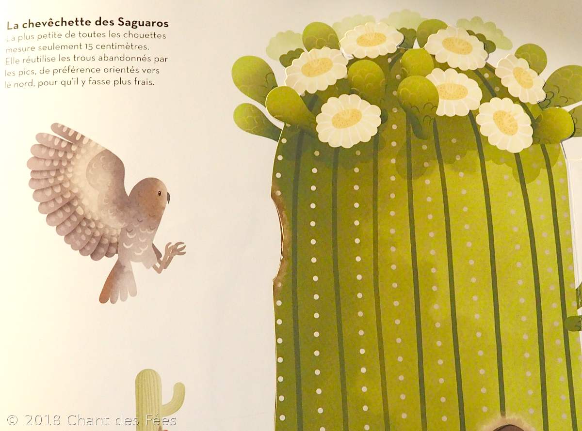 nourrir les oiseaux en hiver