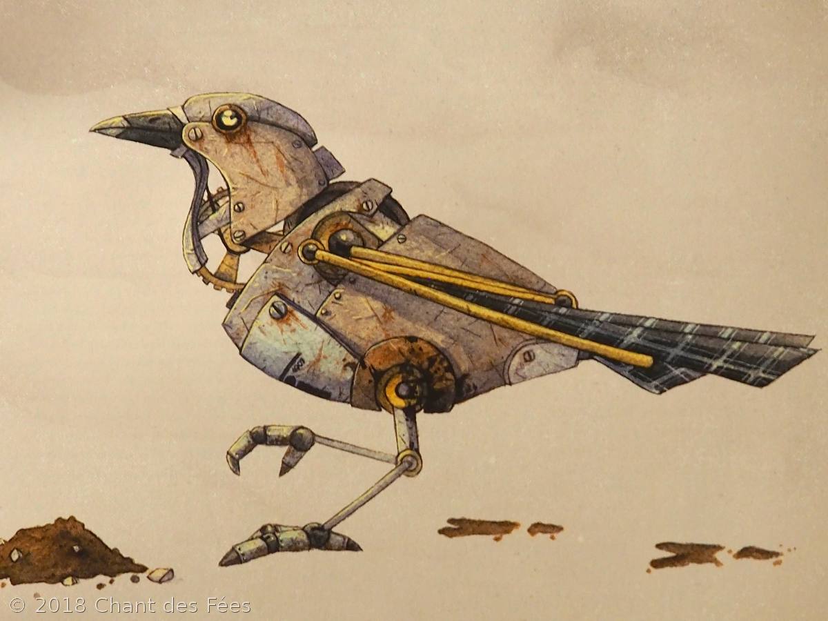 nourrir les oiseaux en hiver