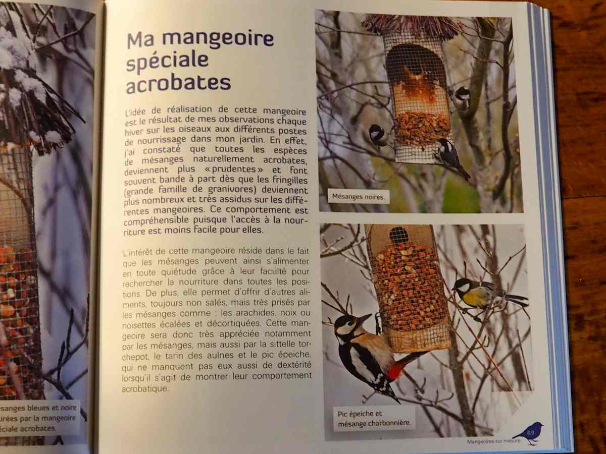 nourrir les oiseaux en hiver