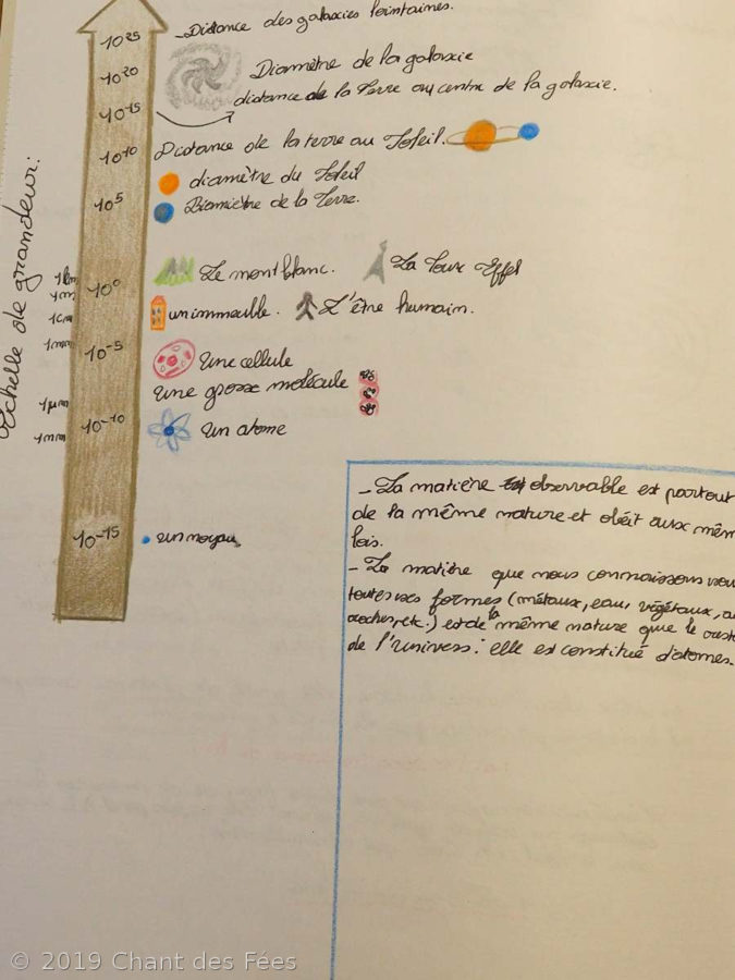 Sciences Physiques