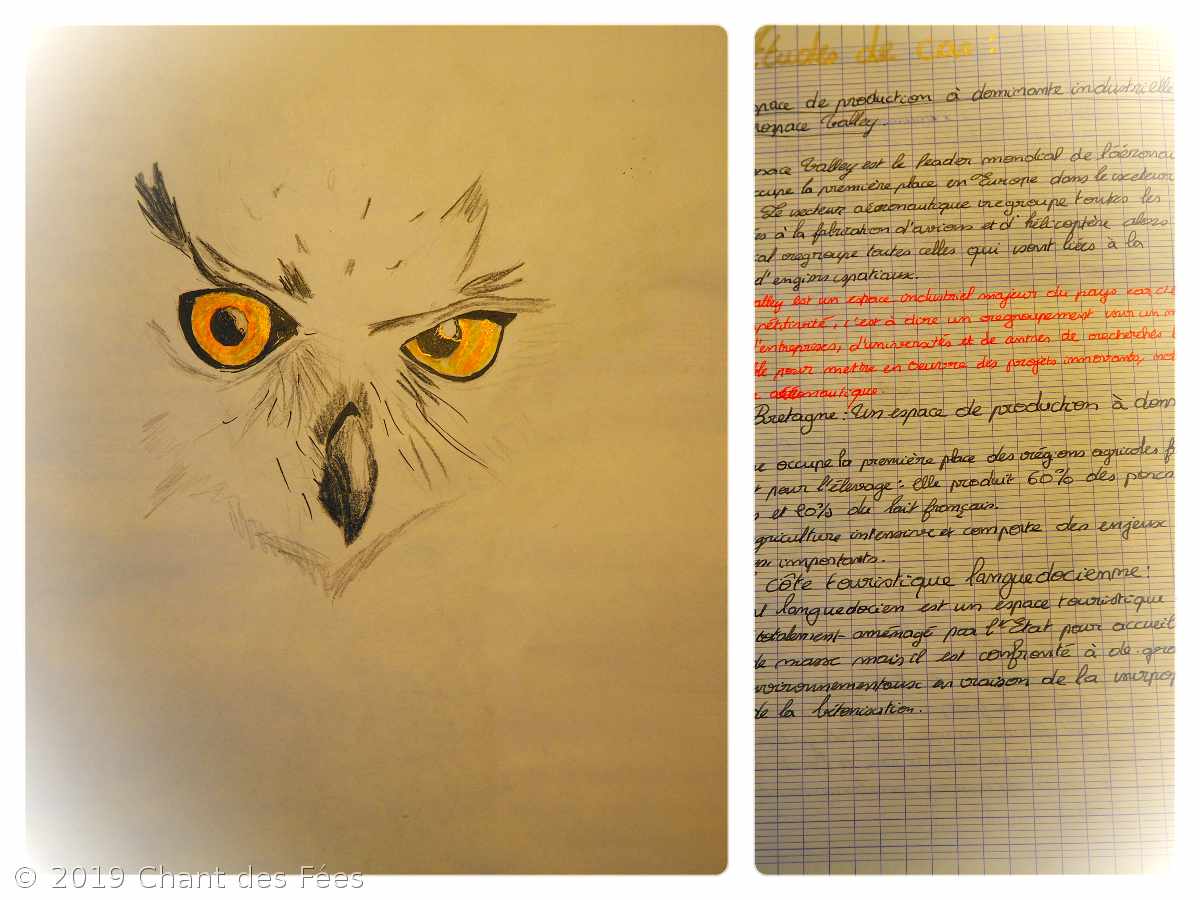Géographie