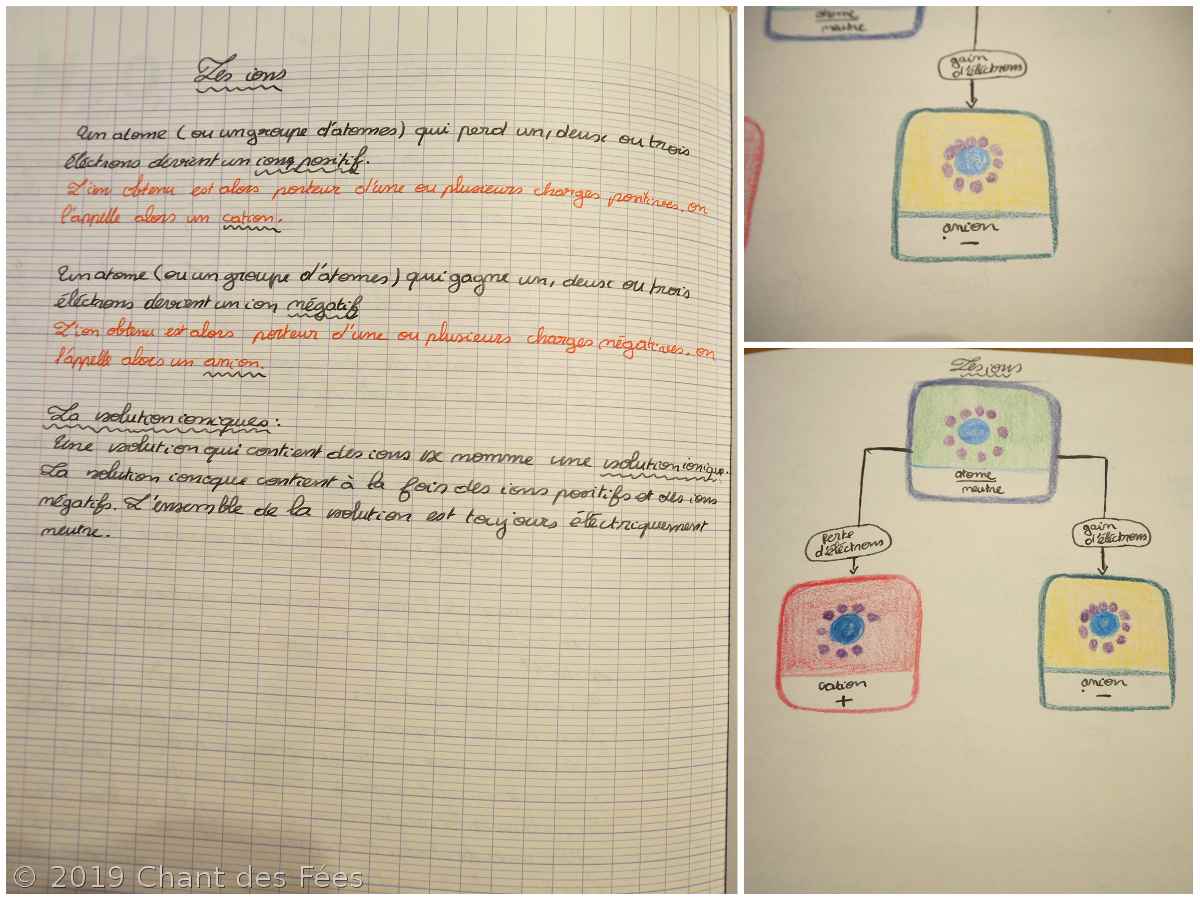 Sciences Physiques