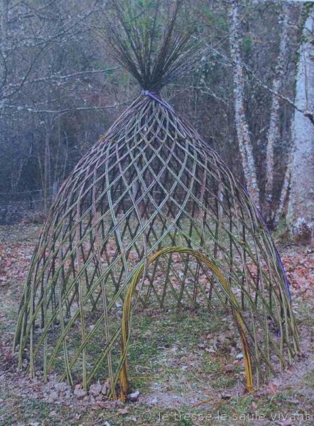 Je tresse le saule vivant
