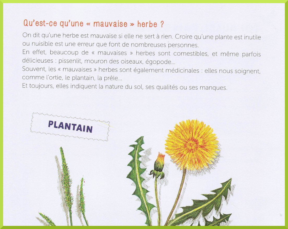 Mon cahier d'activités nature : le potager