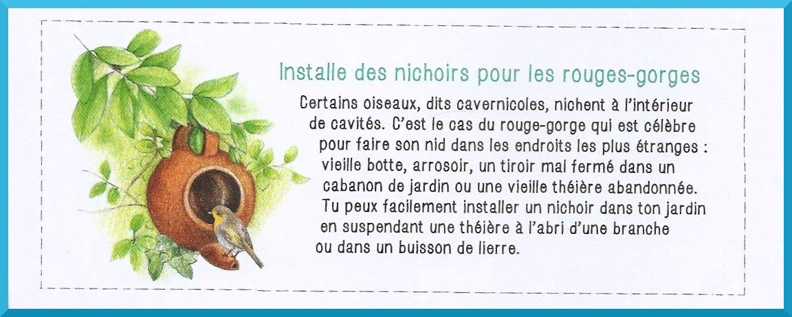 Mon cahier d'observation et d'activités, les oiseaux