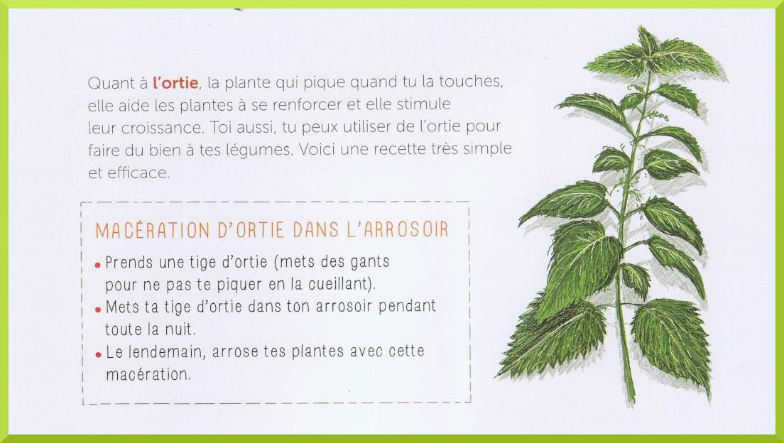 Mon cahier d'activités nature : le potager