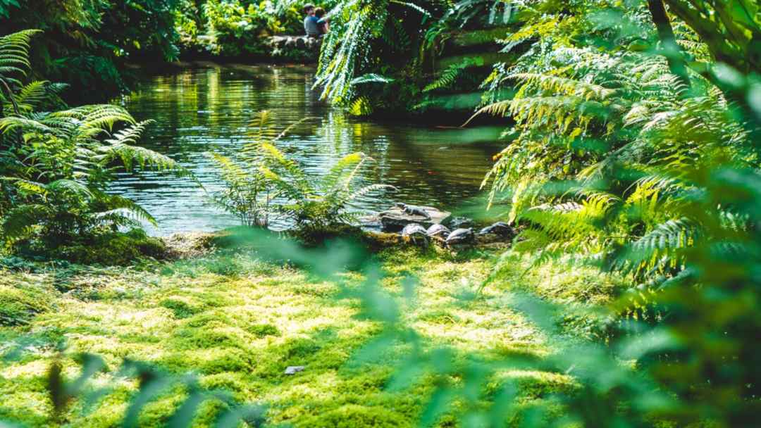 La rivière à l'envers