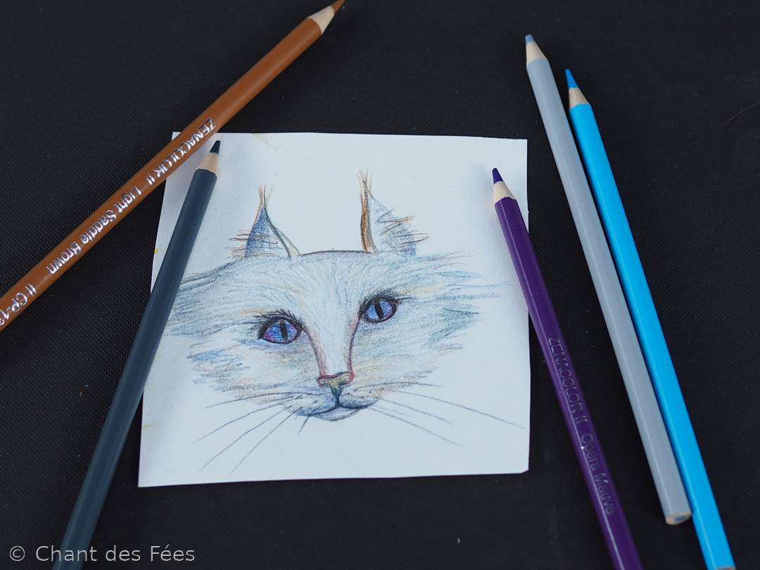 Painting and Drawing in Waldorf Schools