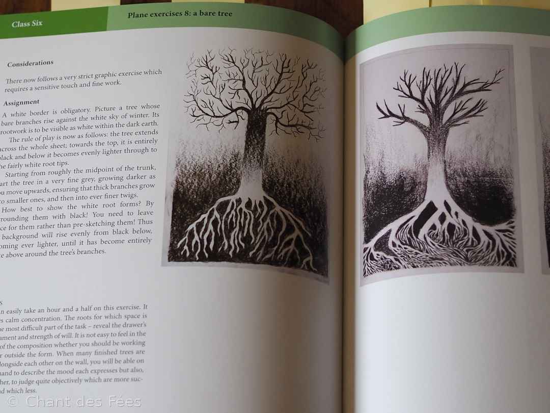 Painting and Drawing in Waldorf Schools