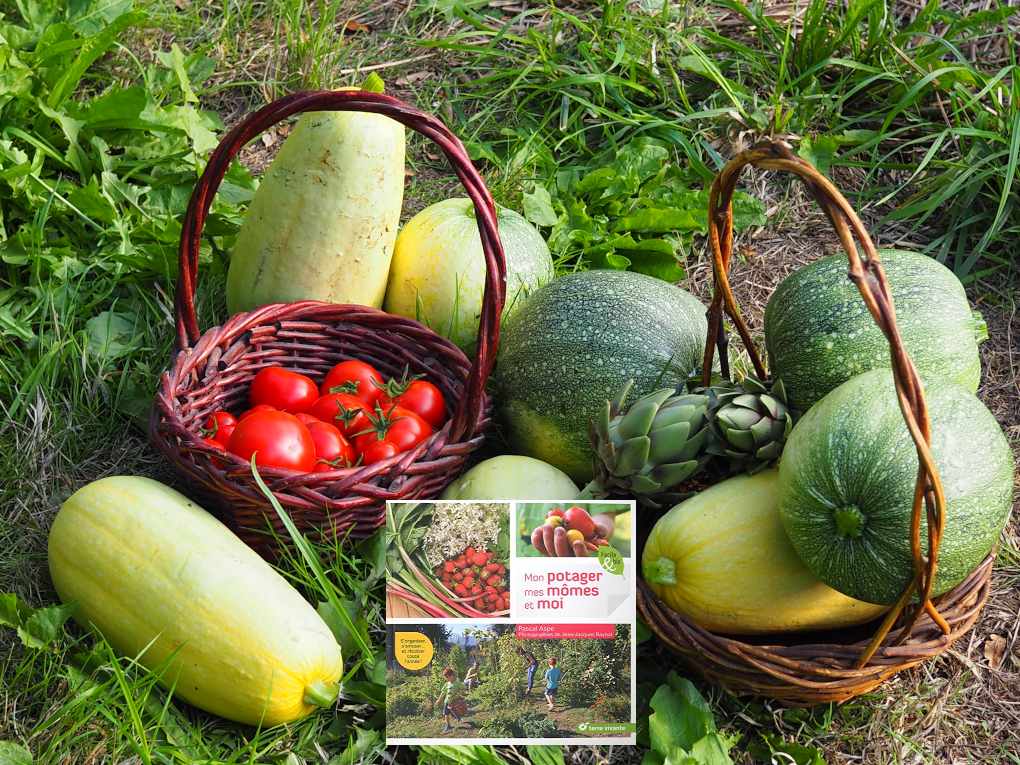Mon potager mes mômes et moi