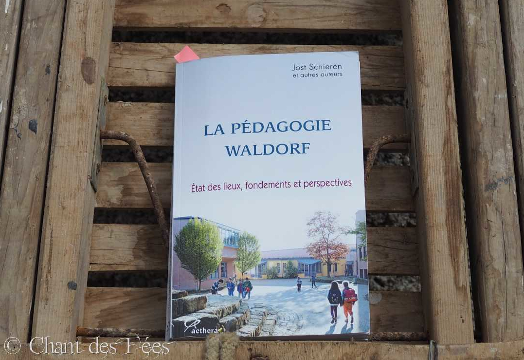 La pédagogie Steiner : état des lieux