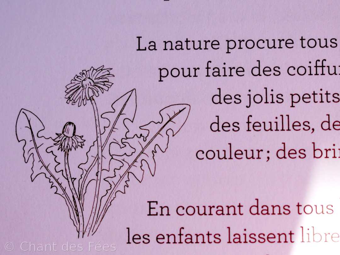 L'école de la forêt