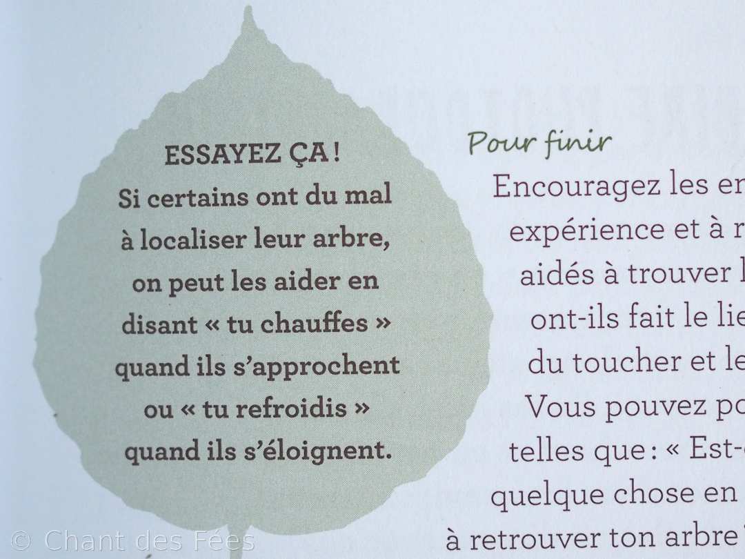 L'école de la forêt