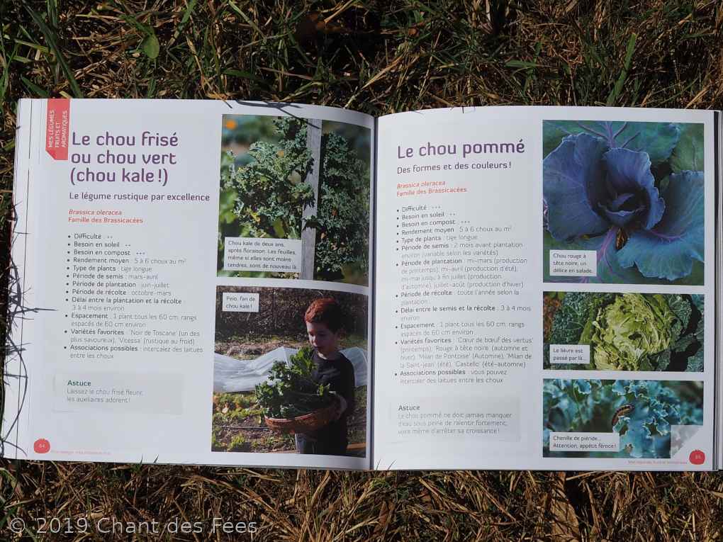 Mon potager mes mômes et moi