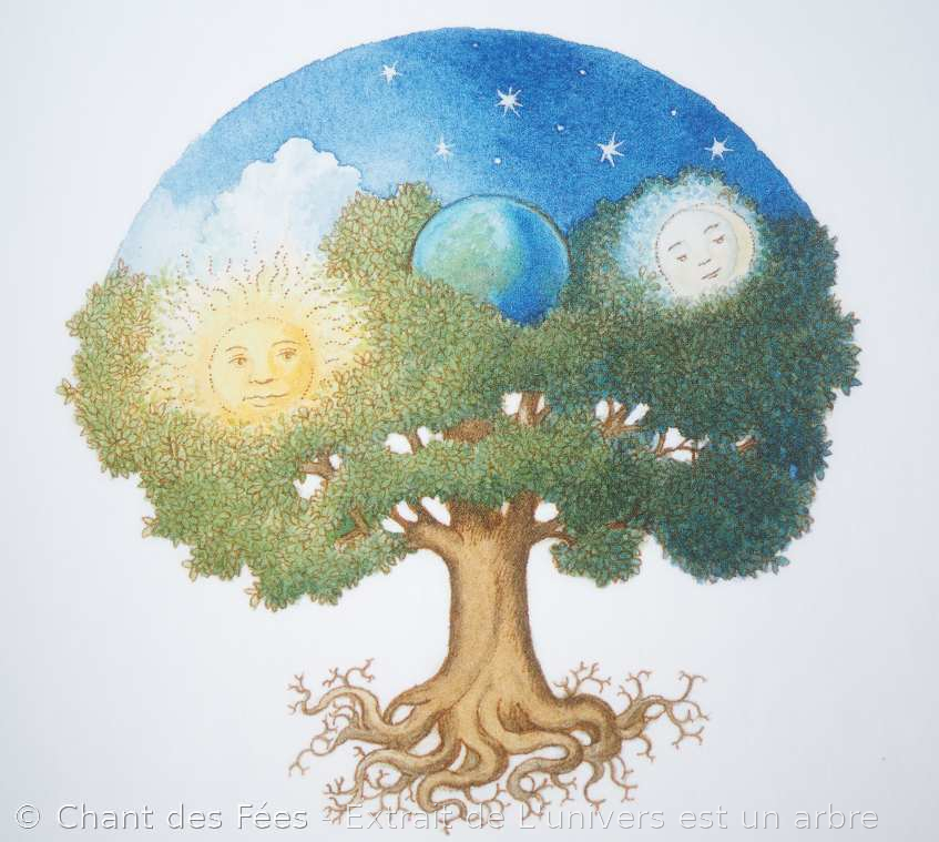 A découvrir : le sublime album "L'univers est un arbre" 2 L'univers est un arbre