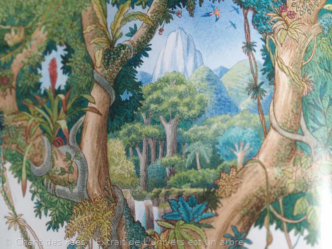 A découvrir : le sublime album "L'univers est un arbre" 4 L'univers est un arbre