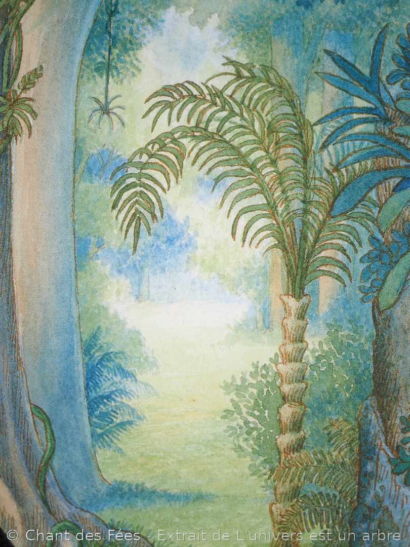 A découvrir : le sublime album "L'univers est un arbre" 1 L'univers est un arbre