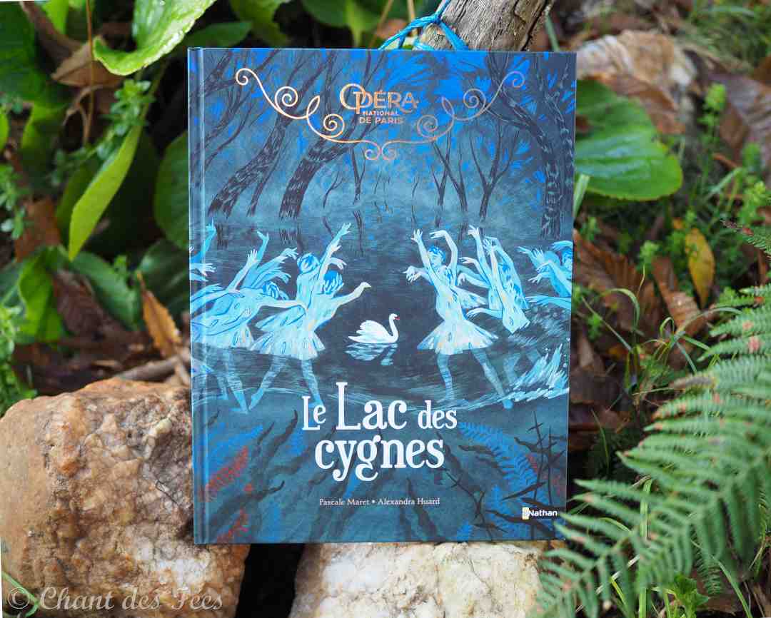 Le lac des cygnes