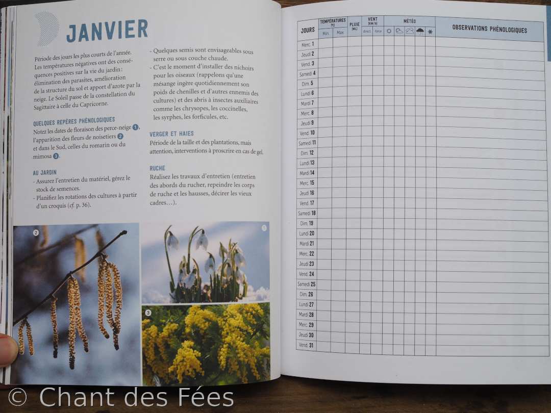 Jardiner avec la lune en biodynamie
