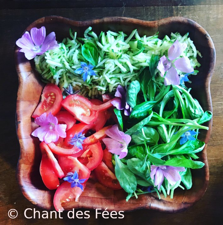 podcast avec Maïté des Éditions des Petits Pas