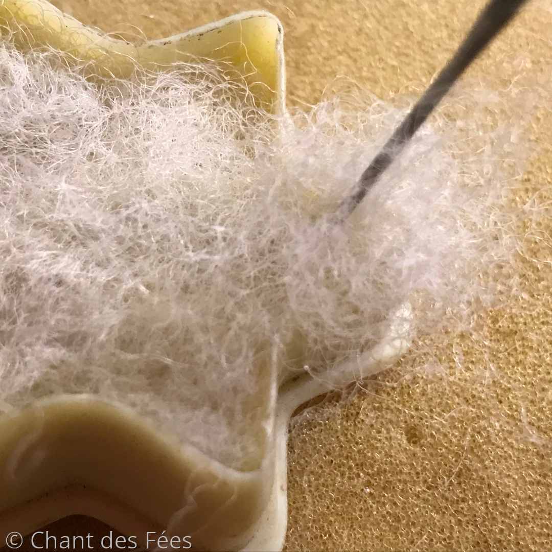 flocon étoile