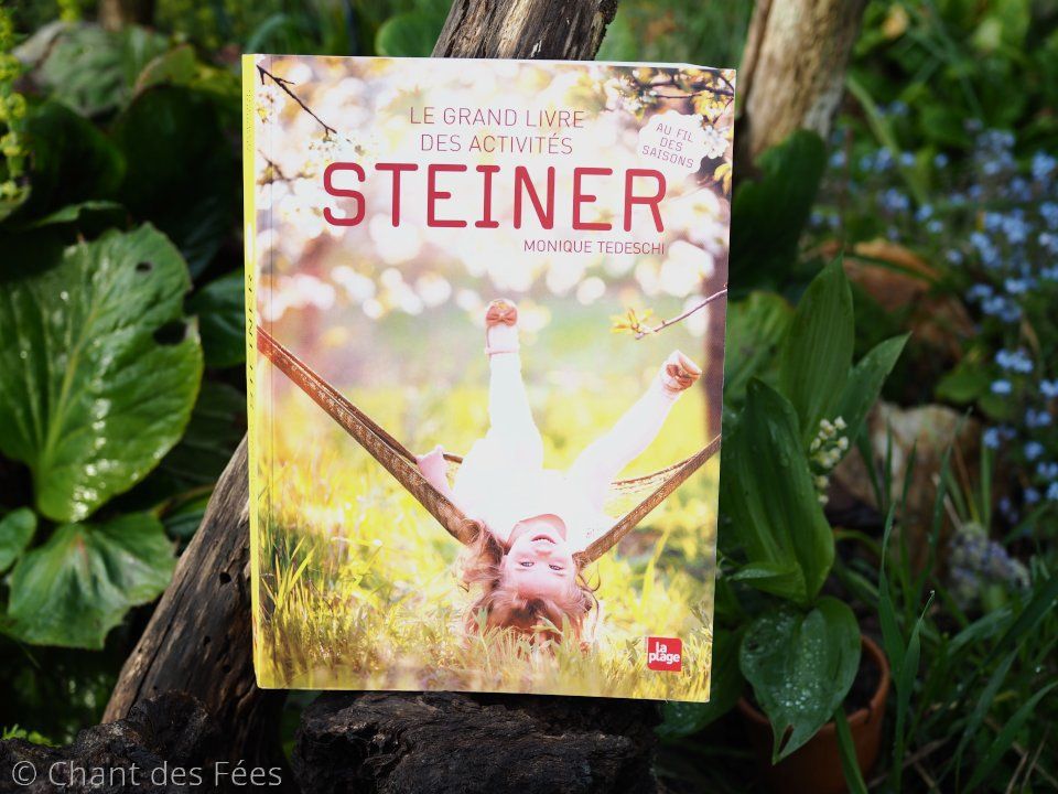 Le grand livre des activités Steiner