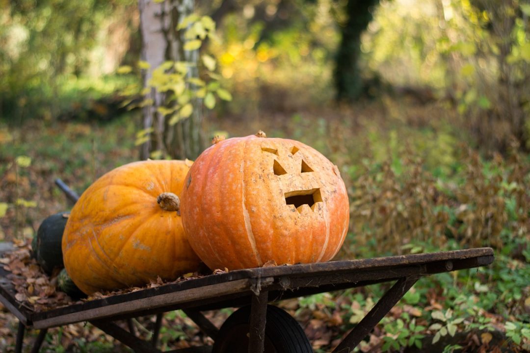 histoire d'halloween