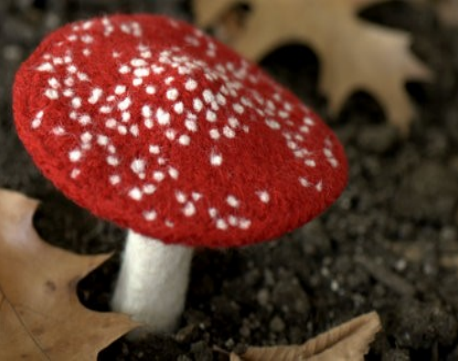 champignons en laine feutrée