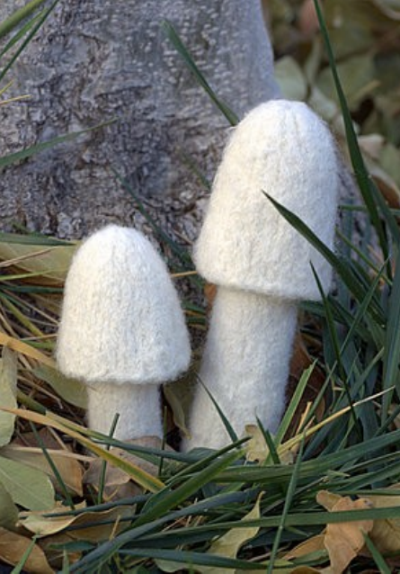champignons en laine feutrée